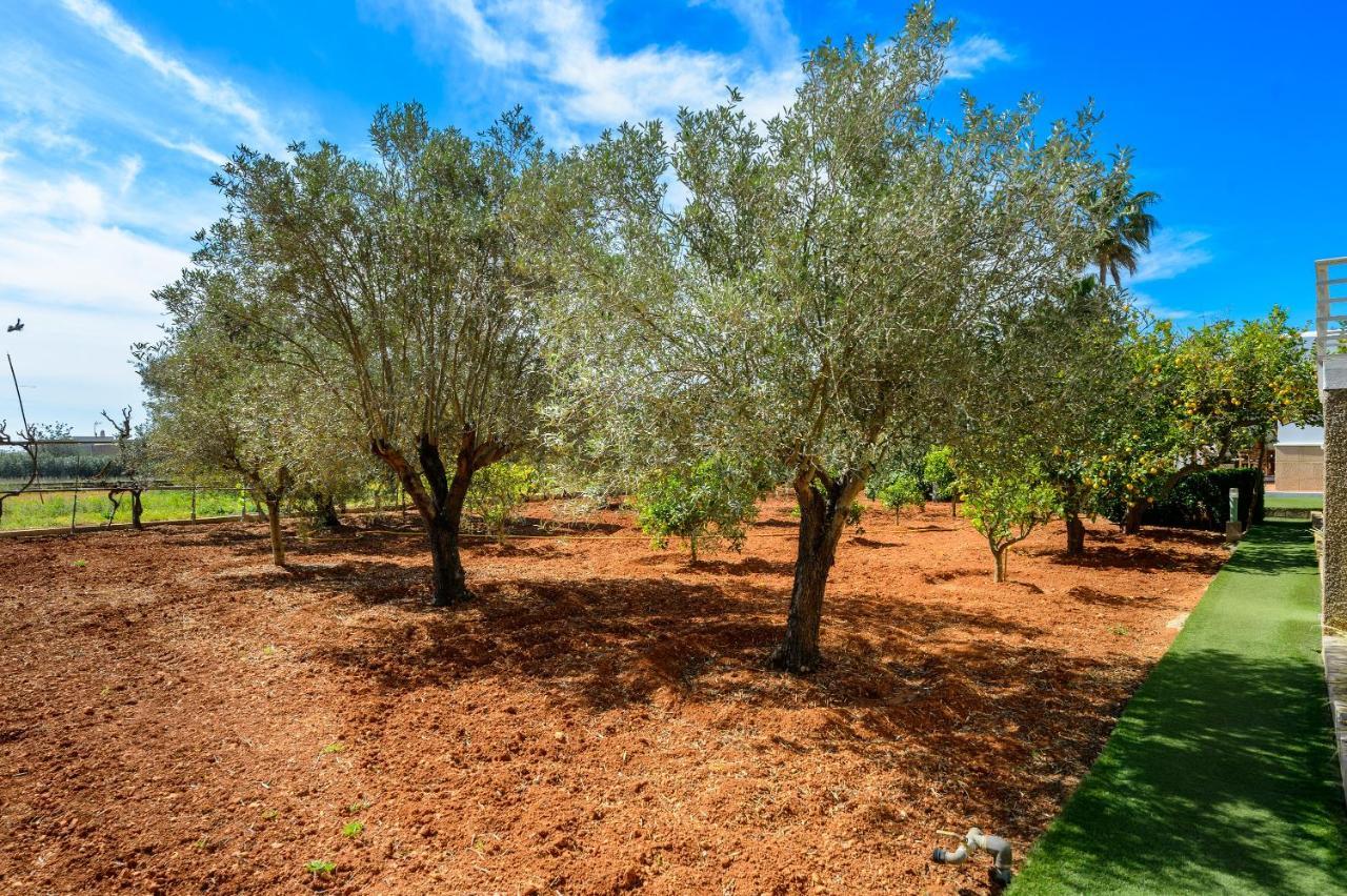 S'hort Des Baladres Ibiza Villa