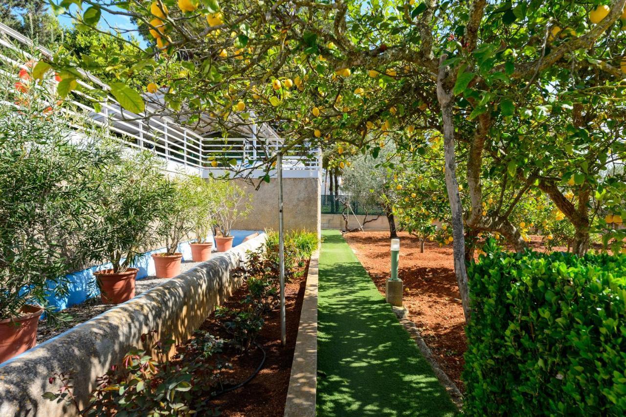 S'hort Des Baladres Ibiza Santa Eularia des Riu