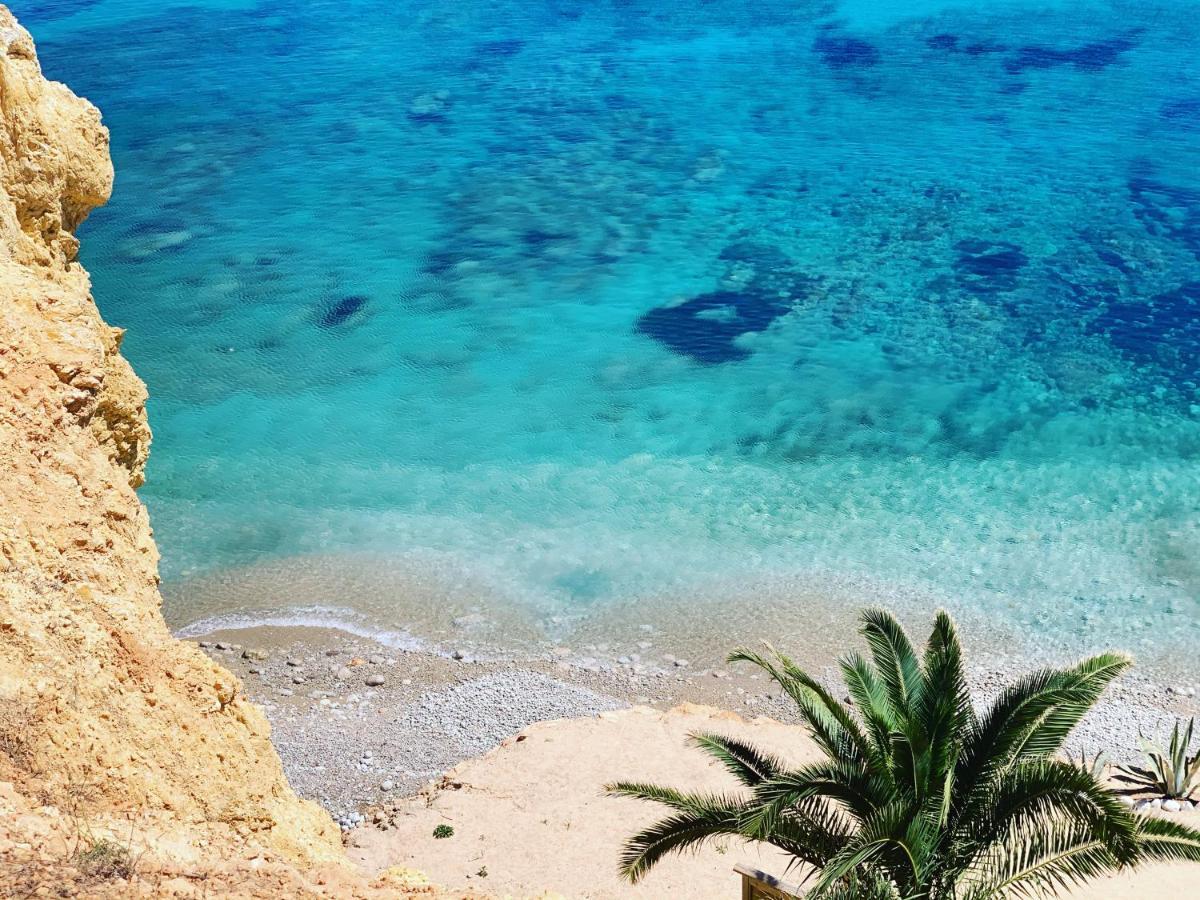 Ibiza Paradise