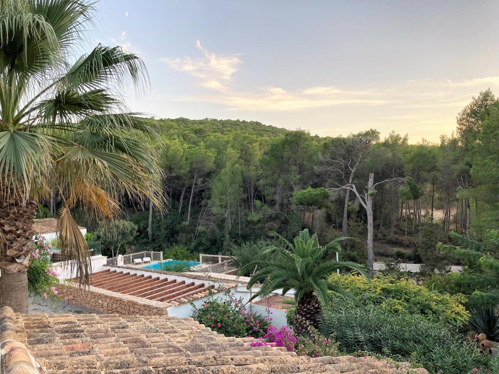 Pinosol Santa Eulària des Riu