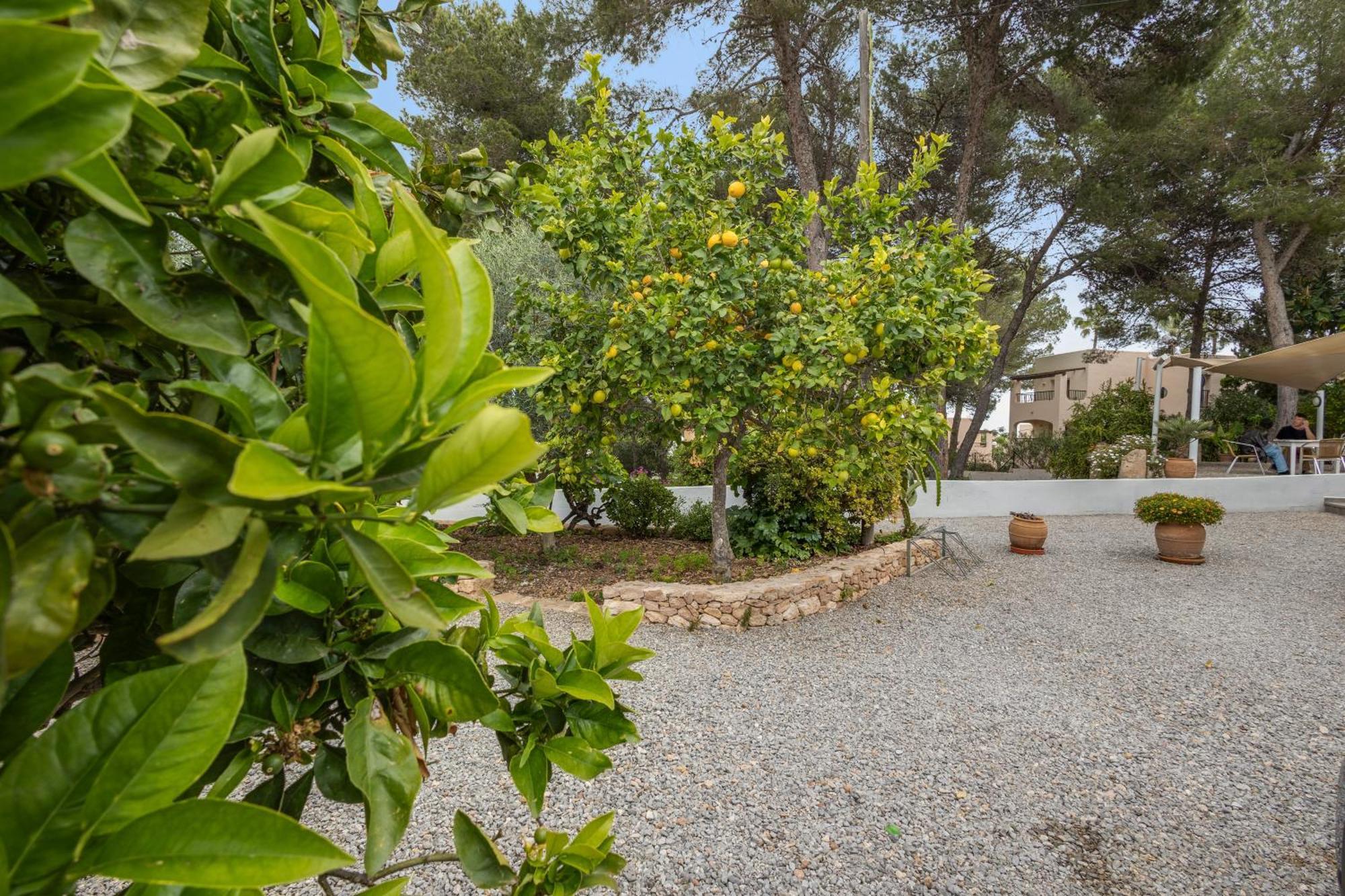 3 Golondrinas * Santa Eularia des Riu