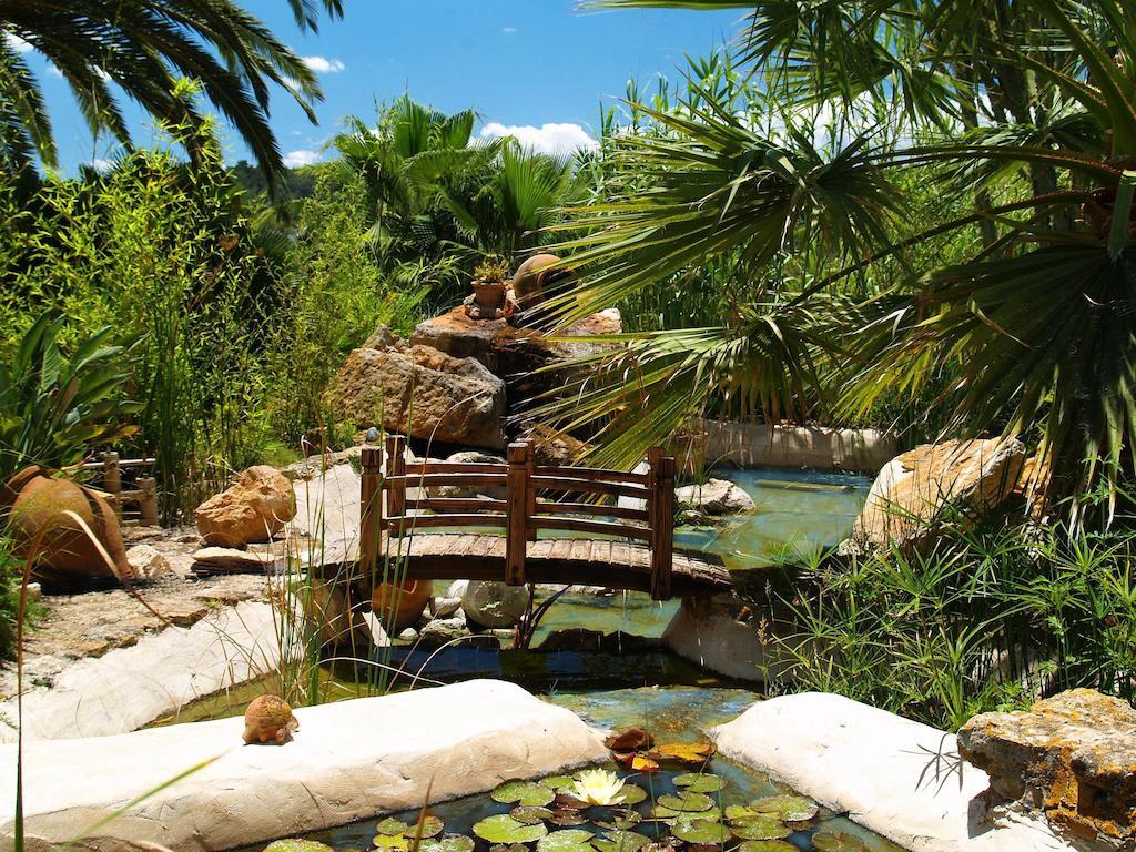 Guest house Finca La Colina 2*