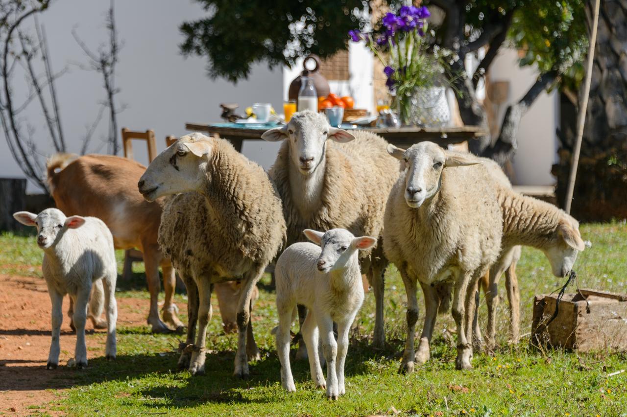 Rural Prats Santa Eulària des Riu
