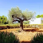 Ibiza Large And Luxurious Finca In Very Exclusive Environment