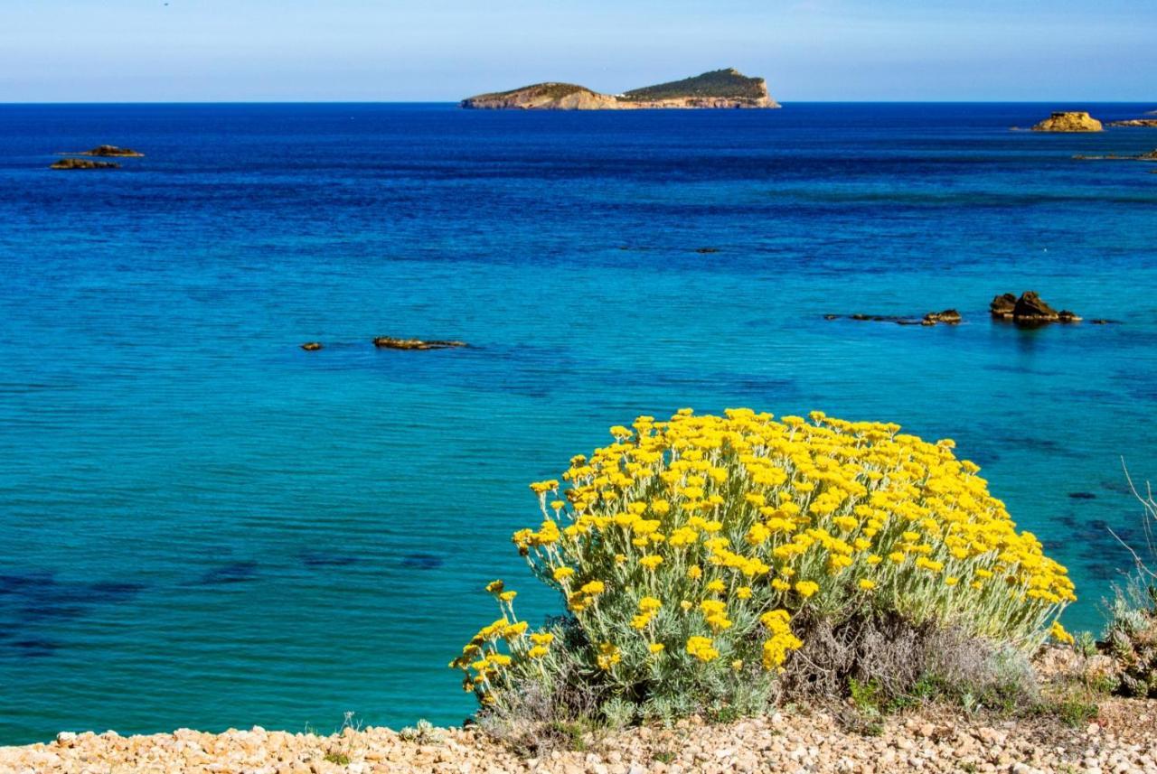 Y Santa Eulalia