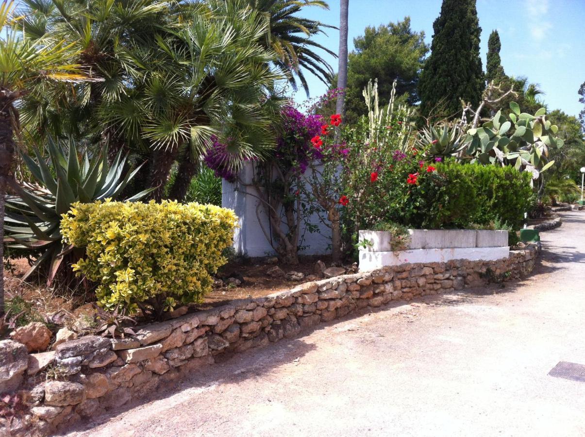 Ibiza - Siesta A 50mt Dal Mare Apartment Santa Eularia des Riu