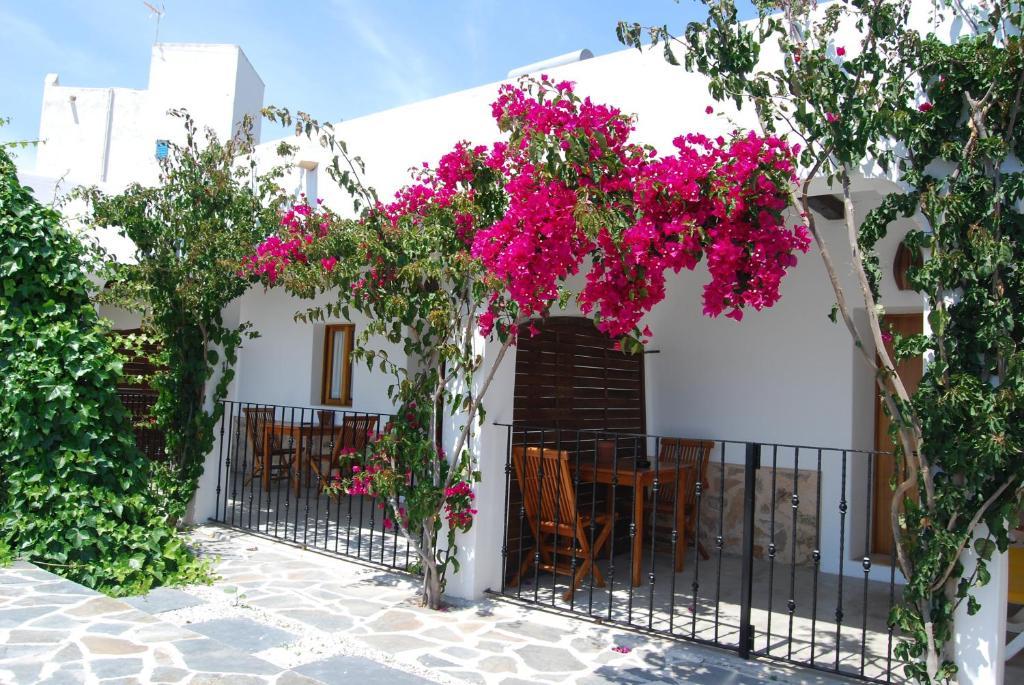 Buenavista & Bed & Breakfast
