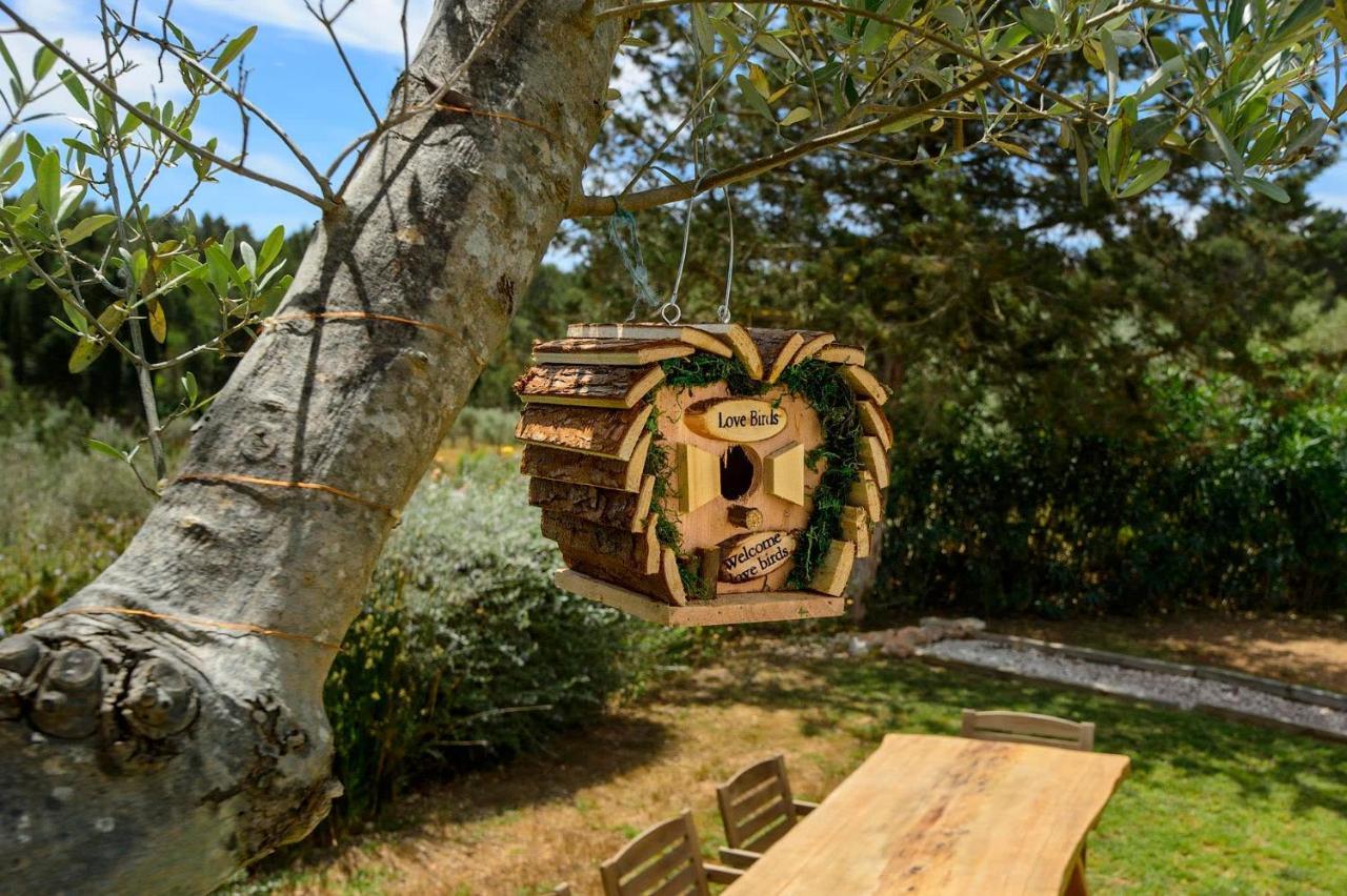 Can Sonrisa - Peaceful And Private With Sea-view And Sport Courts * Santa Eulalia del Río