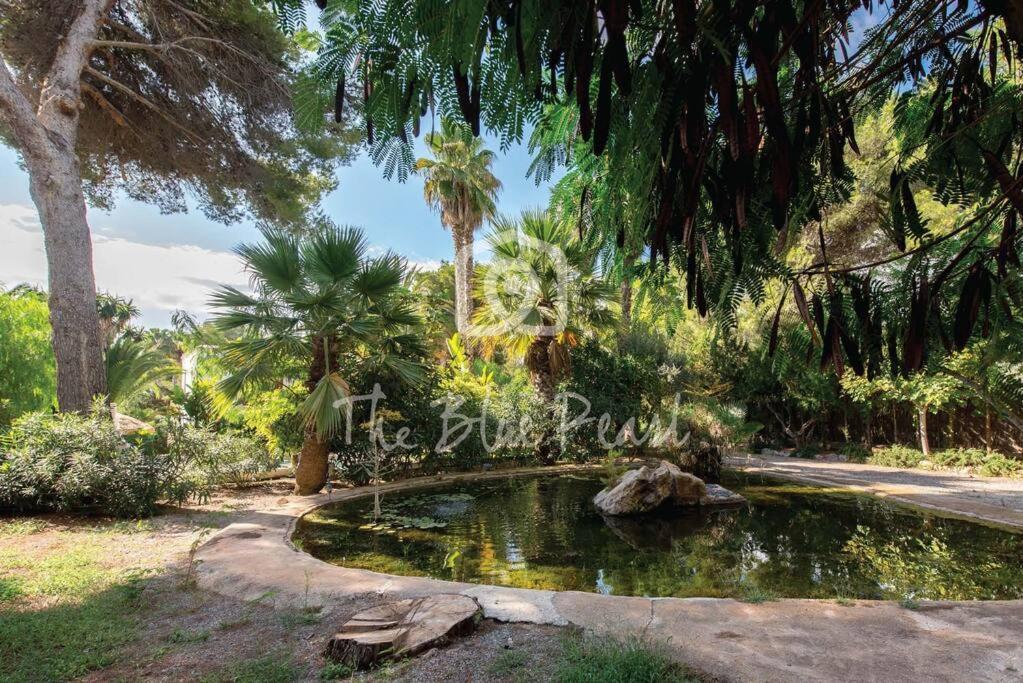 Villa Casona Morna, By The Blue Pearl Santa Eularia des Riu
