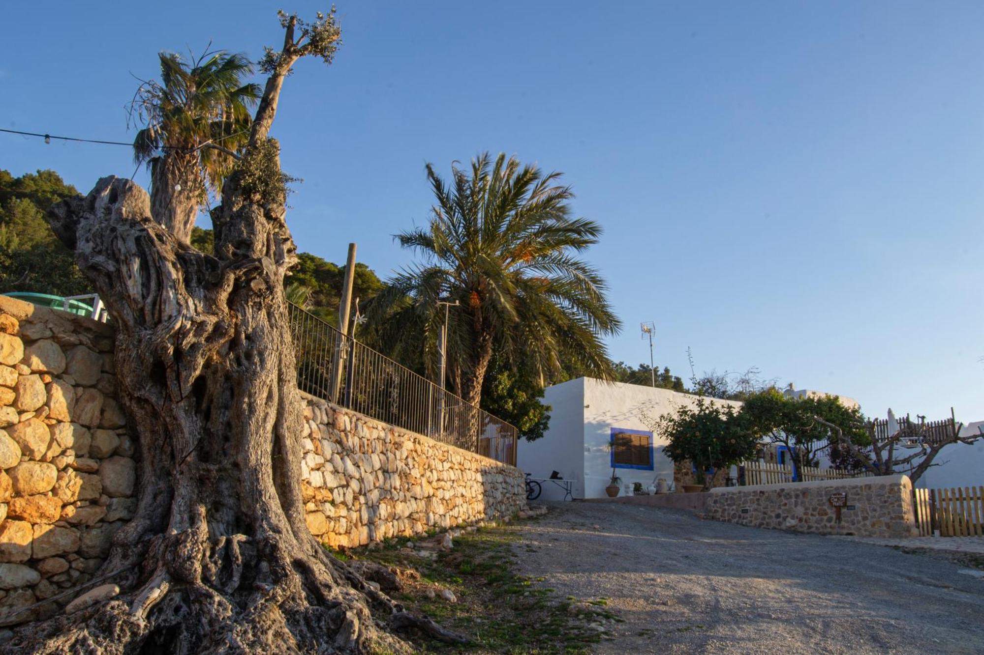 Rural Prats Santa Eularia des Riu