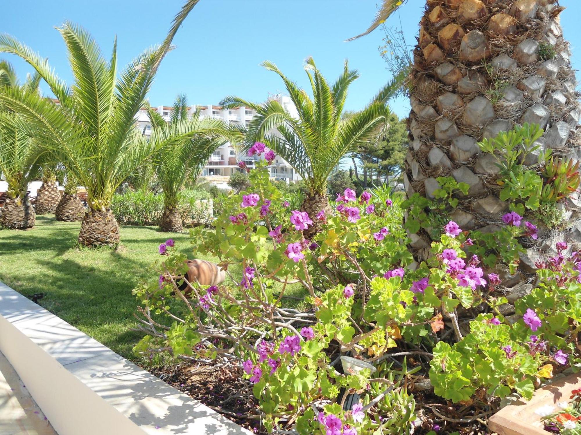 Grand Palladium Santa Eularia des Riu