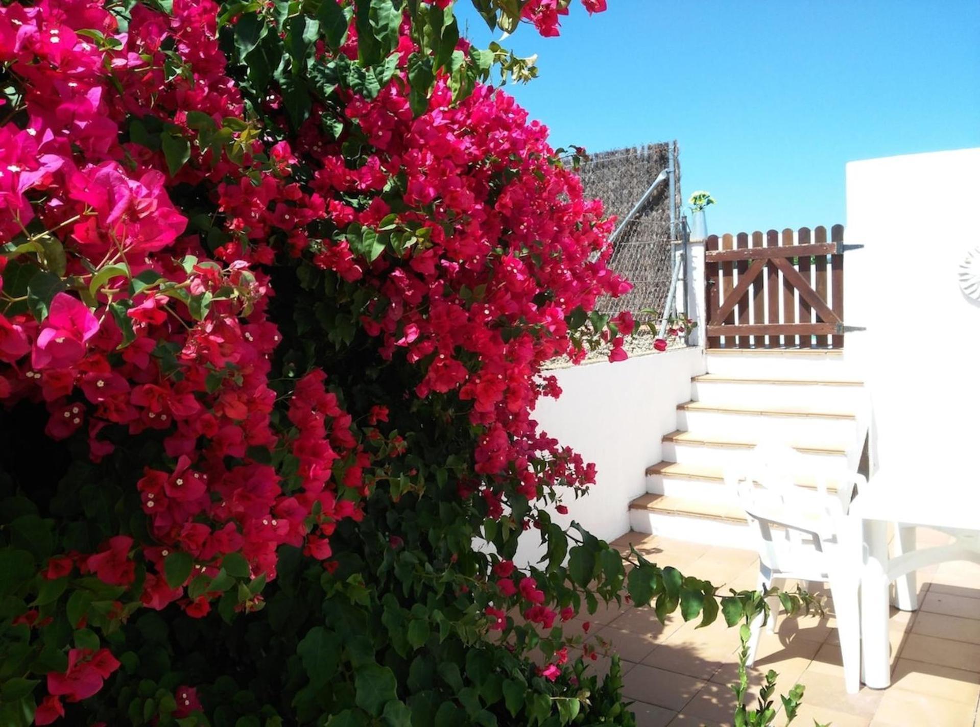 Casa Susana Holiday home
