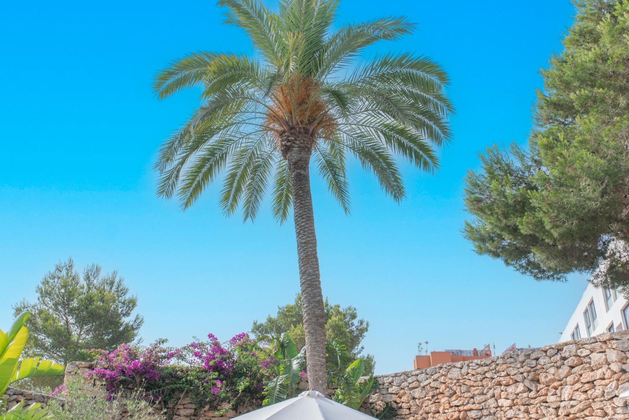Chic Ibiza Nearby Olivera Santa Eularia des Riu