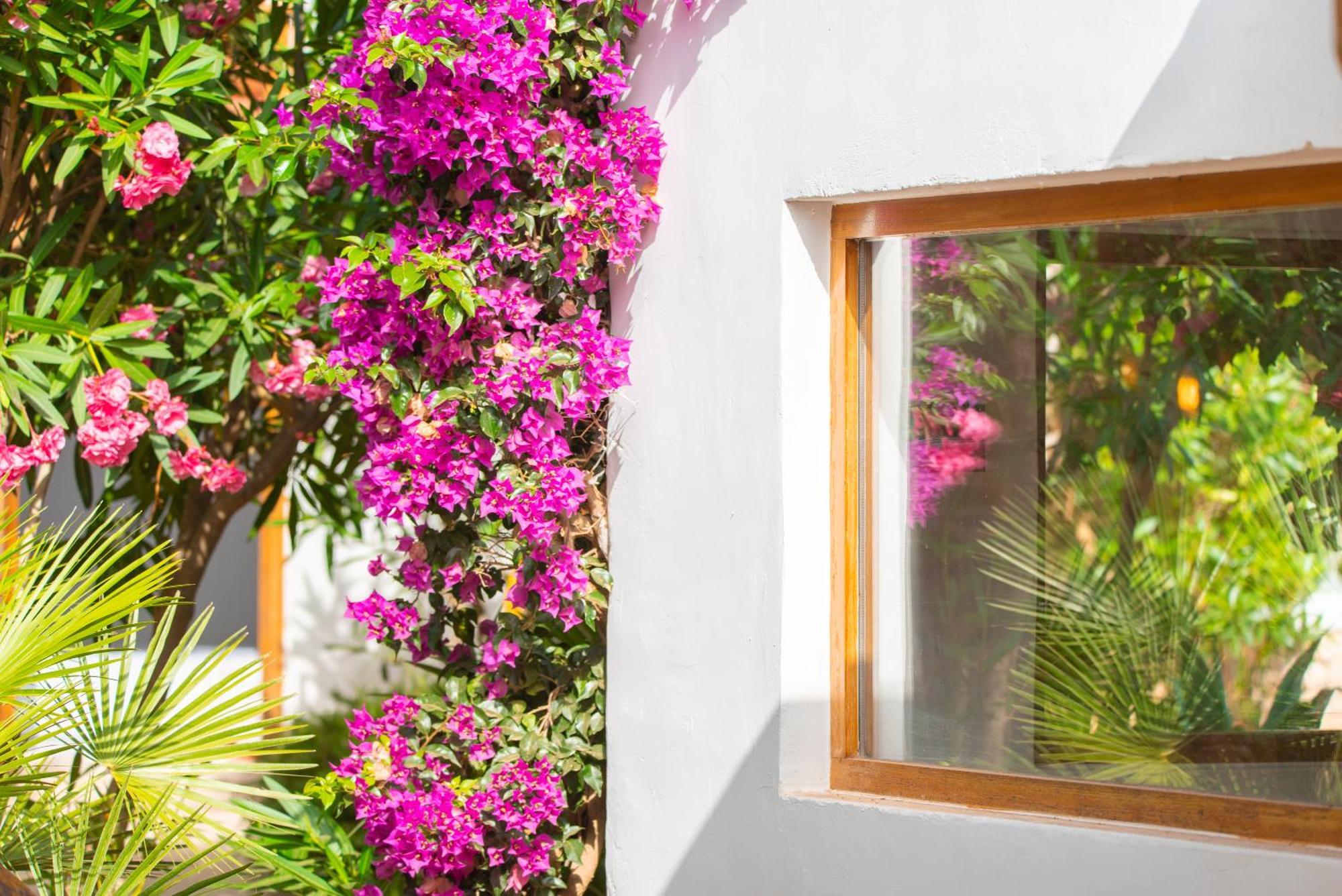 Villa Chic Ibiza Nearby Olivera