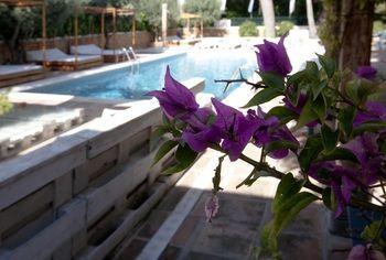 ácora Ibiza Hotel Santa Eulalia del Río