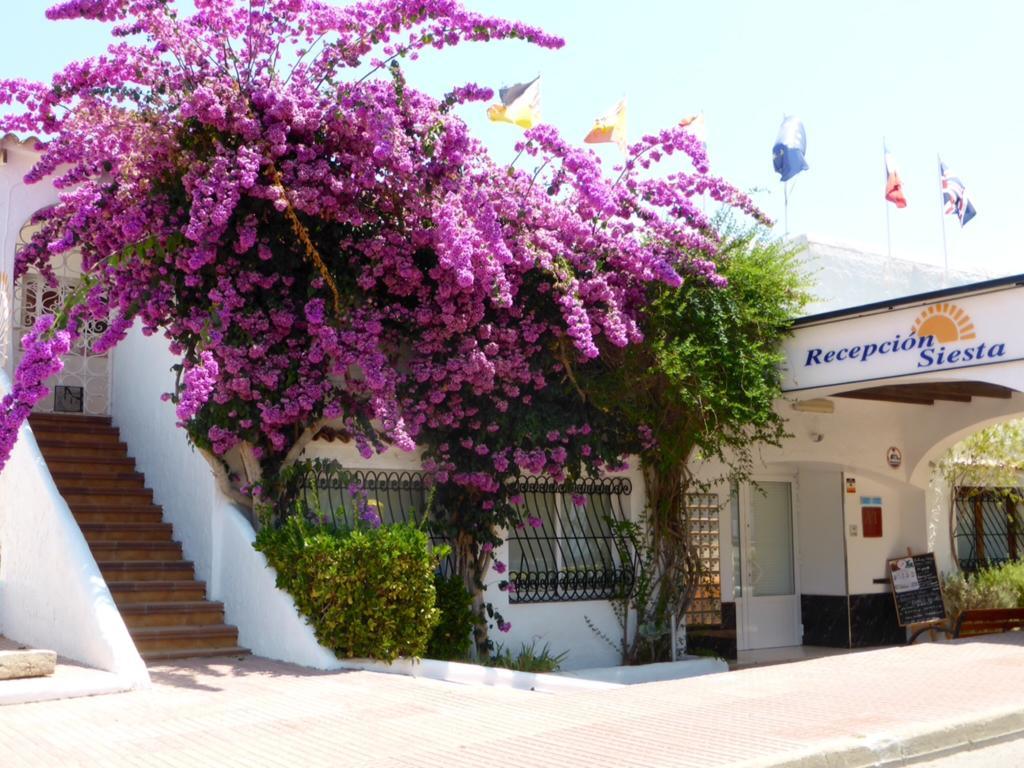 Apartment Siesta Mar Ibiza Santa Eularia des Riu