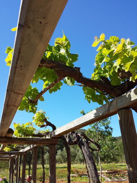 Ca Na Joaneta Farm stay Santa Eularia des Riu