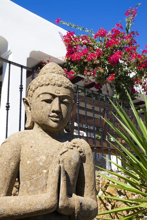 Buenavista & Bed & Breakfast Santa Eularia des Riu