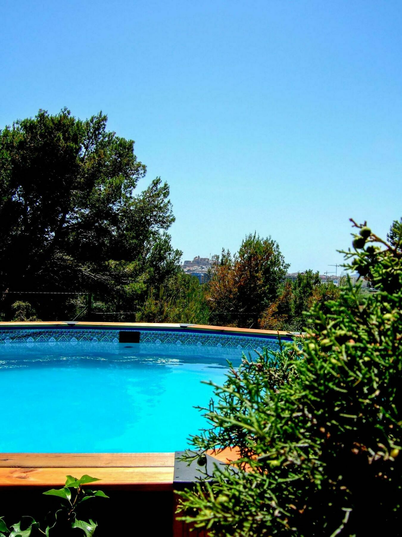 Veroch Santa Eularia des Riu