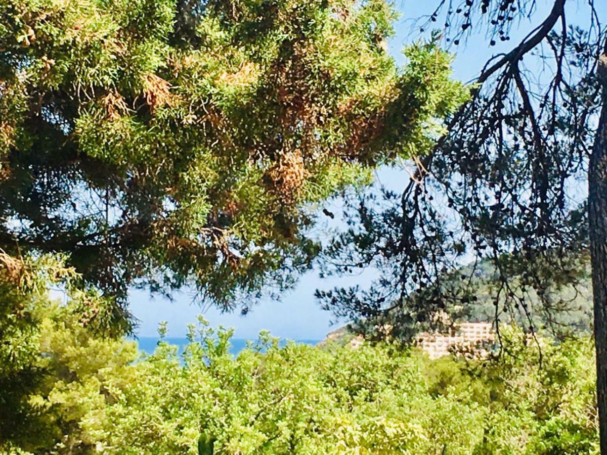 Casa Ribas Santa Eularia des Riu