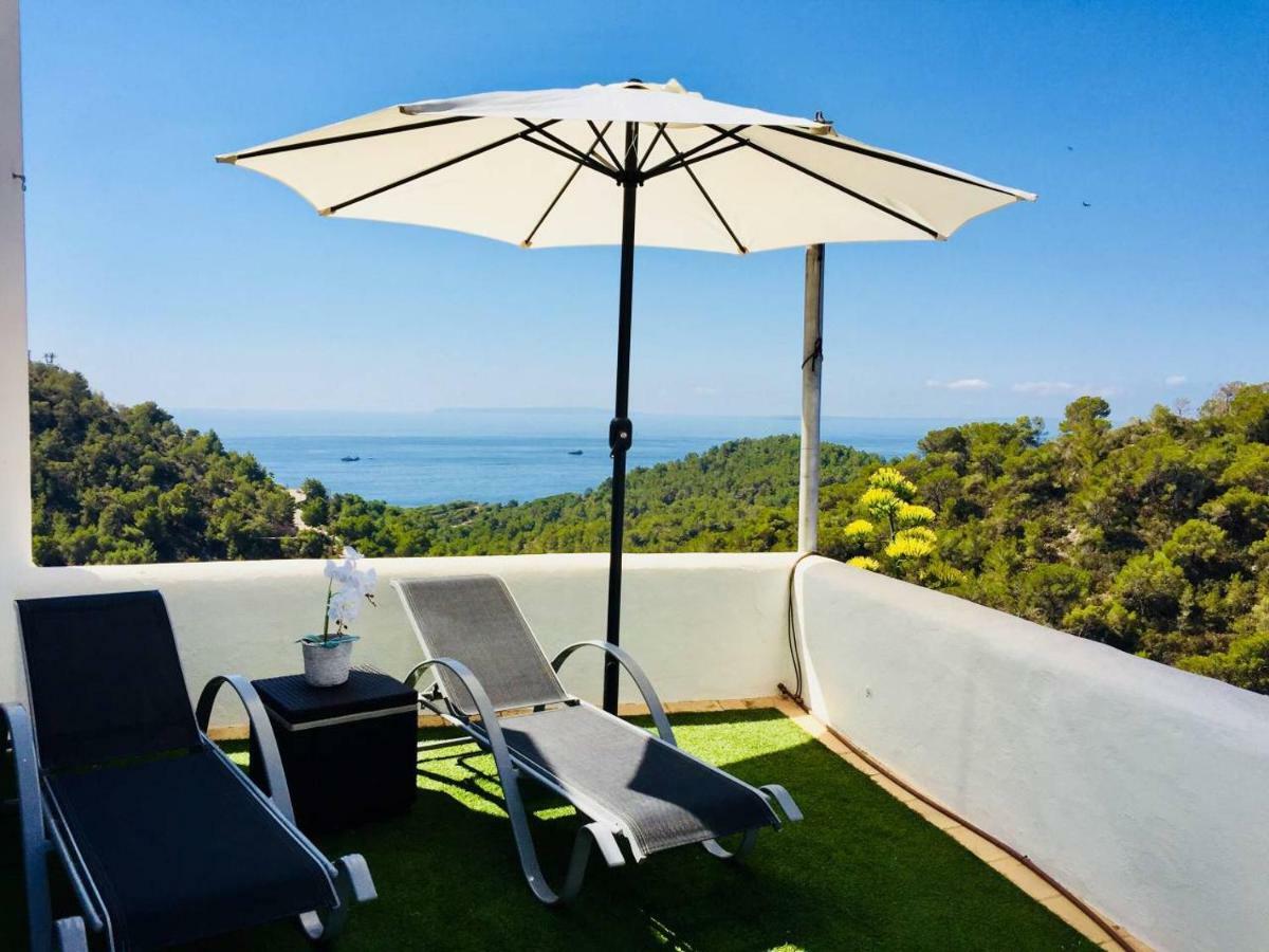 Orquidea - Amazing Landscape View