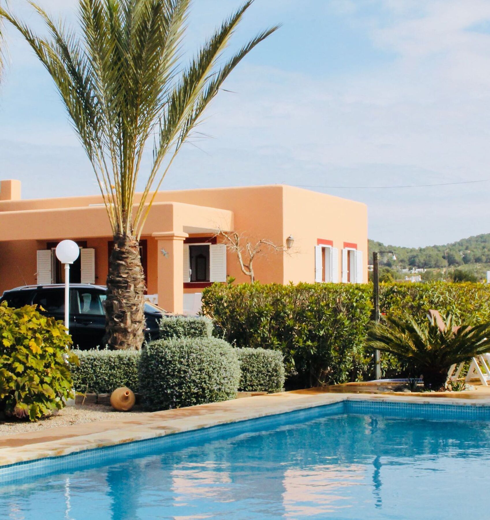 Palmeras * Santa Eularia des Riu