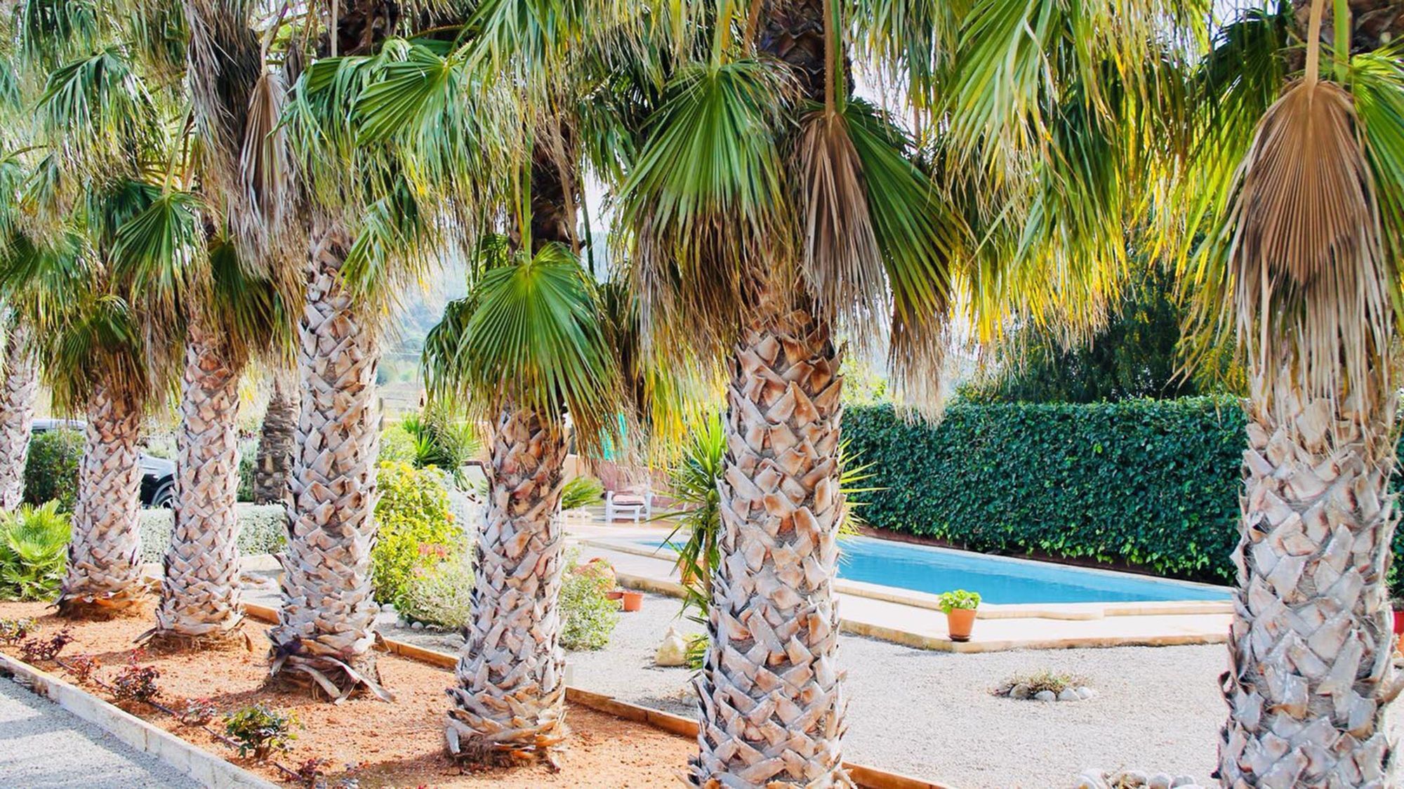 Villa Palmeras *