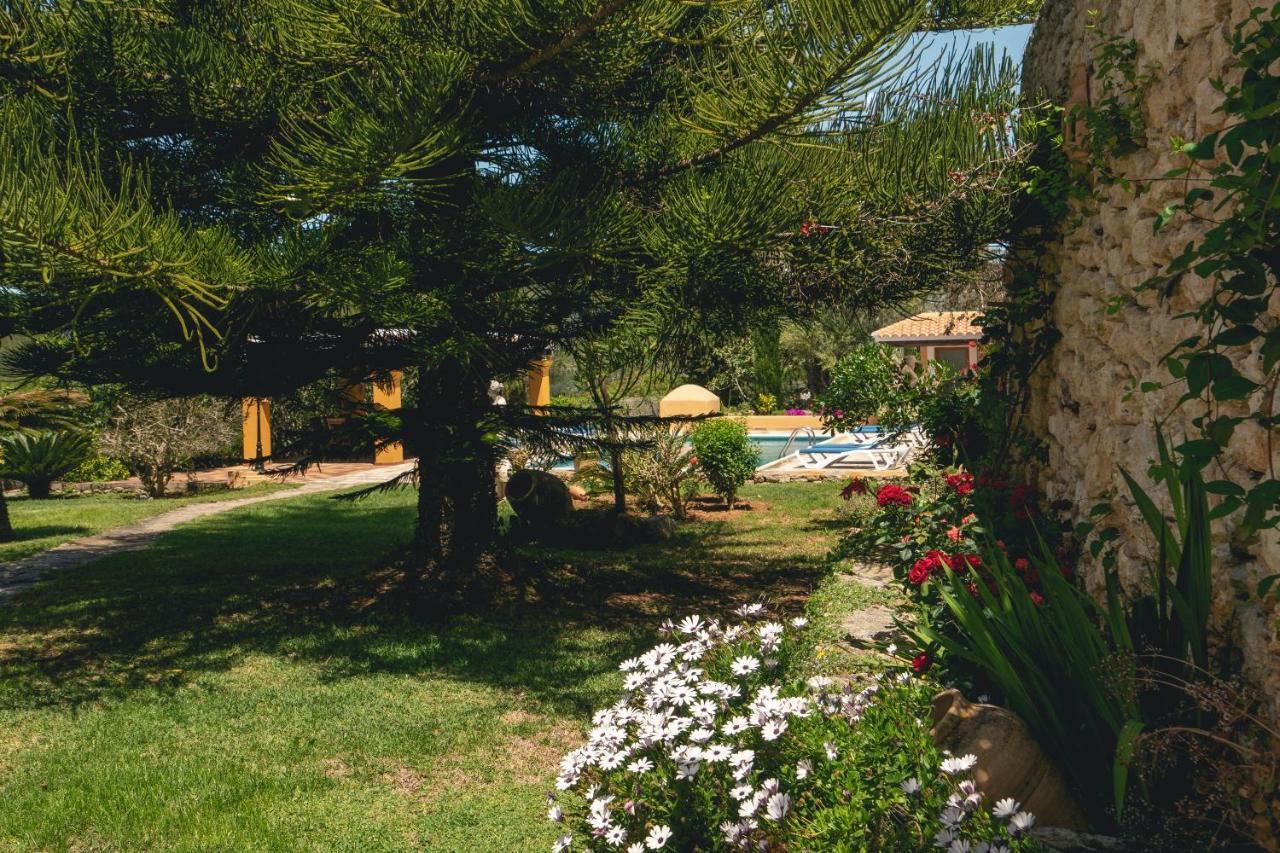 Joan Vich I * Santa Eularia des Riu