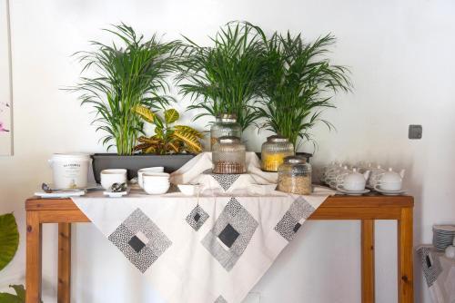 Acora Ibiza Aparthotel 3*