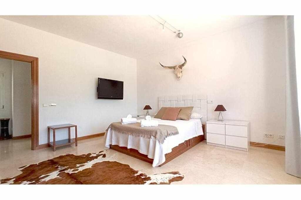 Gorgeous Near Ibiza Centre Villa