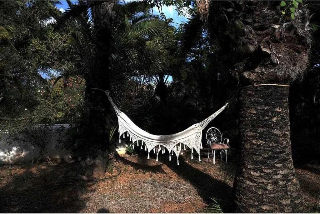 Gorgeous Near Ibiza Centre
