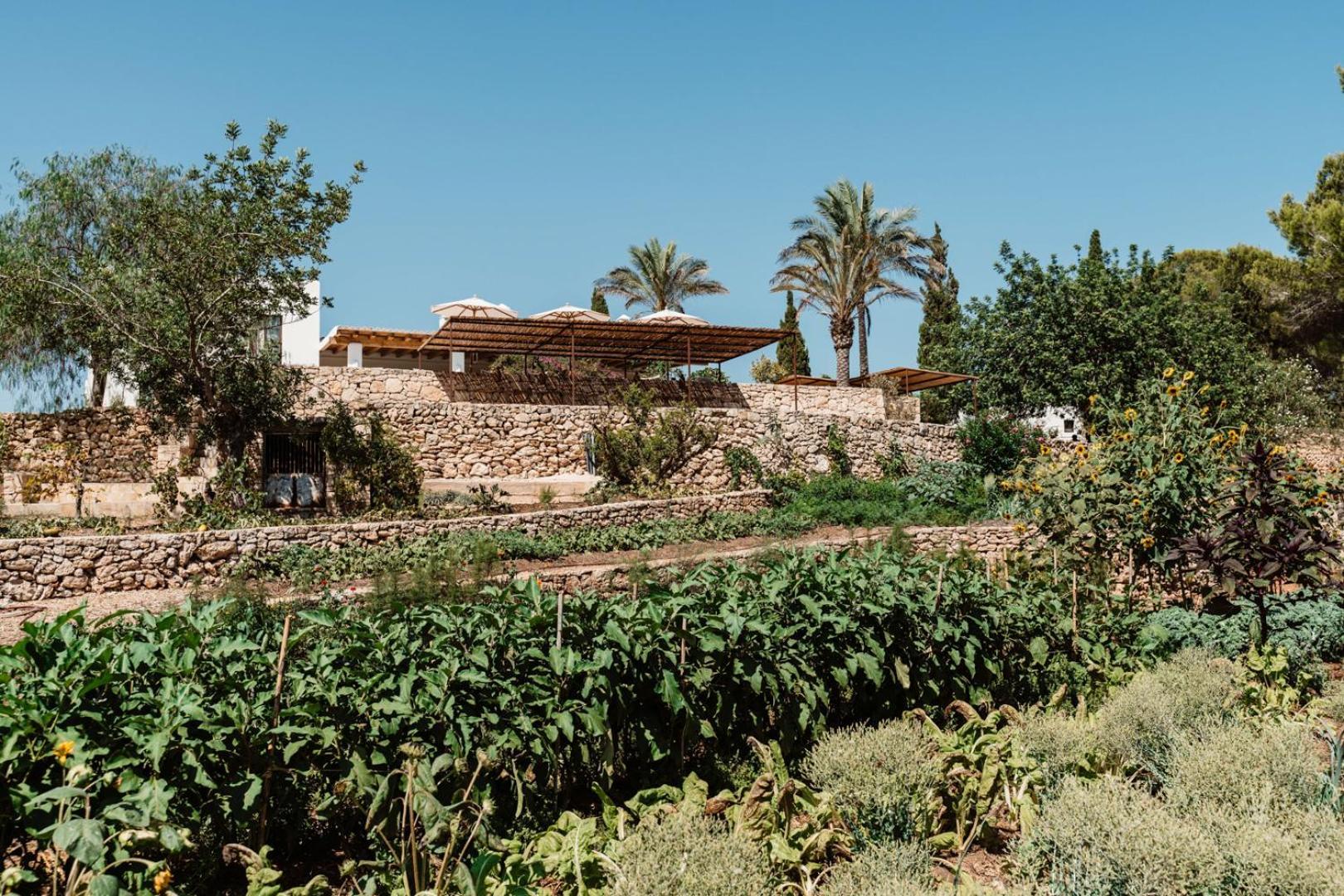 Aguamadera Santa Eularia des Riu