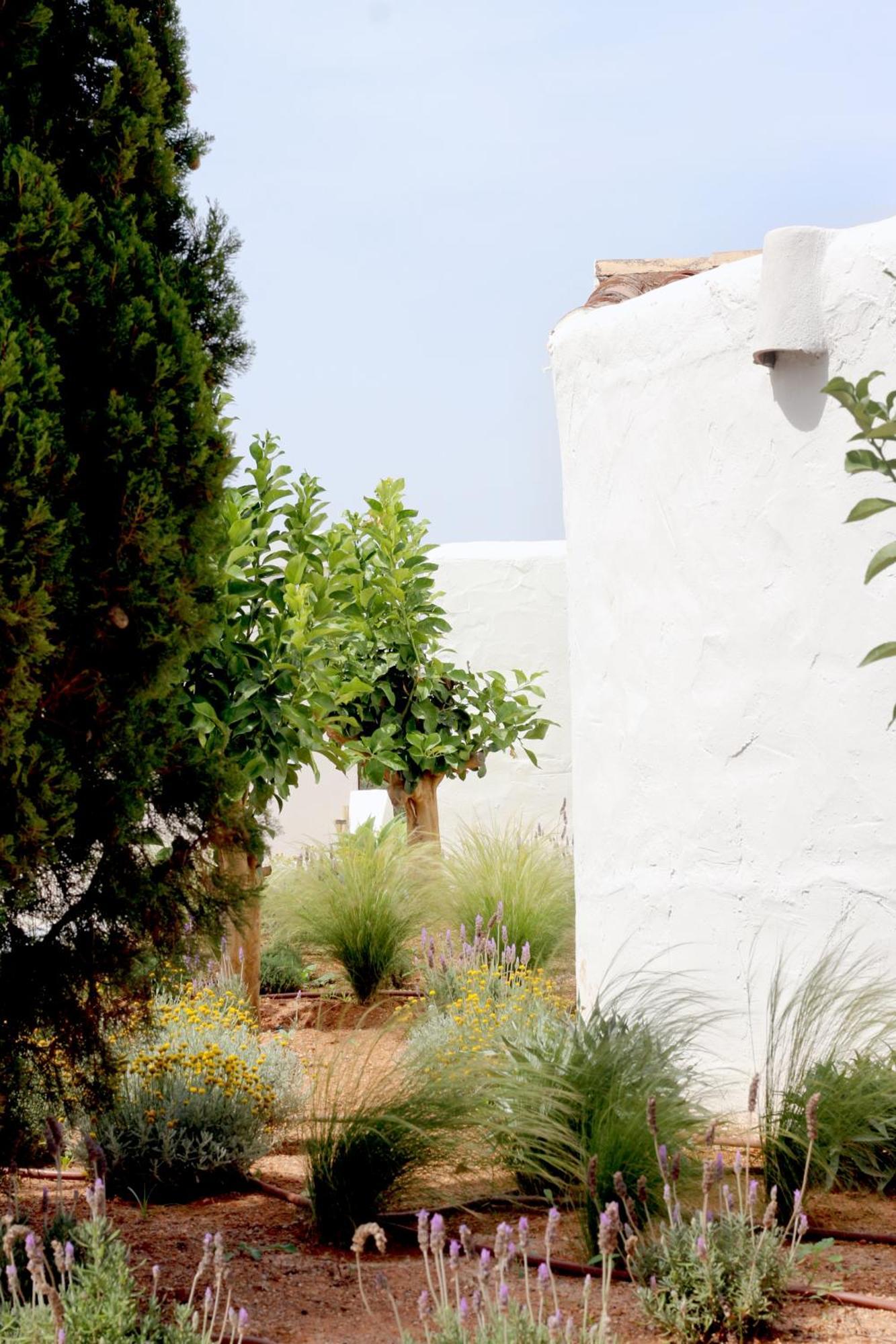 Farm stay Aguamadera *
