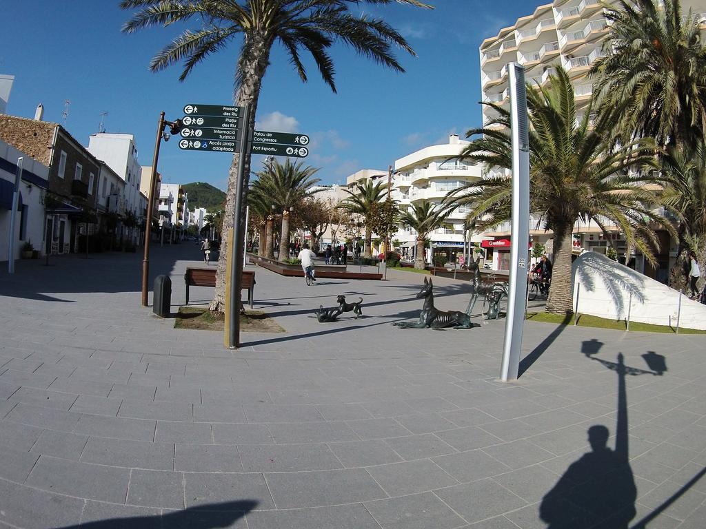 Mayol 2*