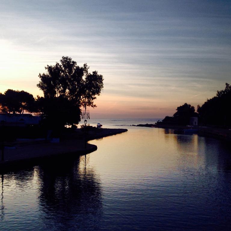 Hotel Insotel Fenicia Prestige & Spa 5*