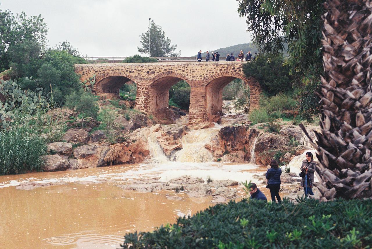 Mayol