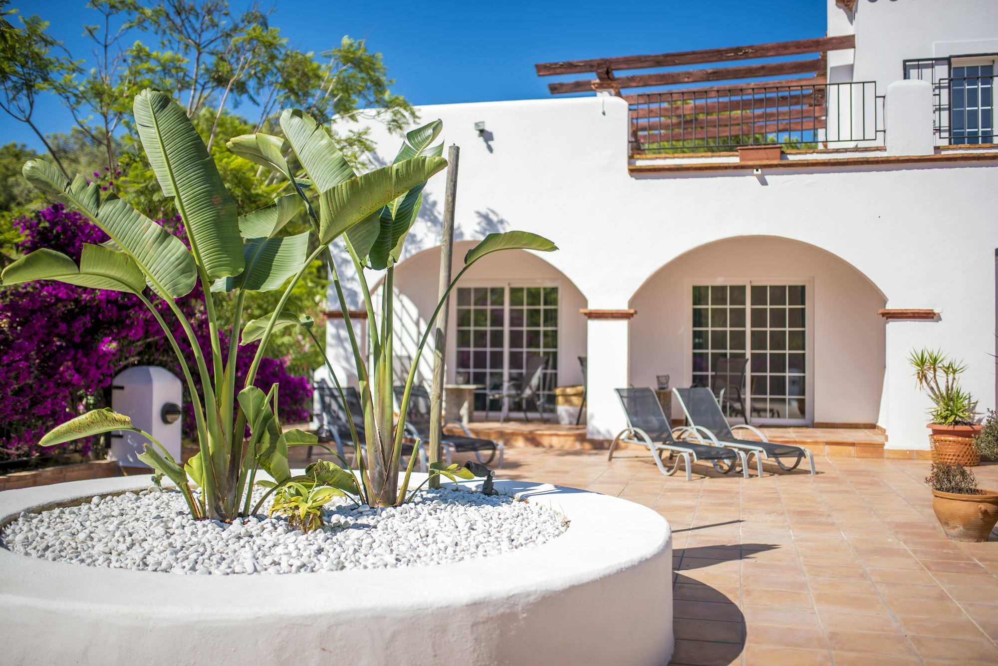 Ambar Santa Eularia des Riu