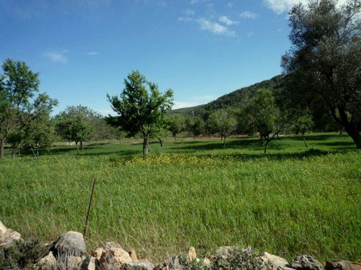 Villa Can Miro *