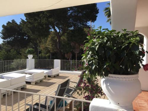 Acora Ibiza Santa Eulalia del Río