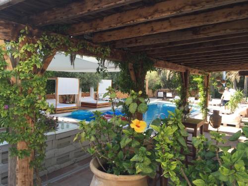 Acora Ibiza Apartahotel